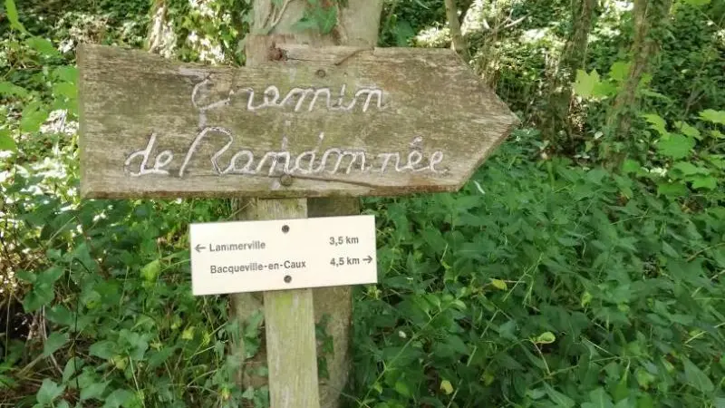 Gîtes de France® - Les Cerisiers d'Ablemont