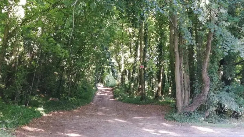 Gîtes de France® - Les Cerisiers d'Ablemont