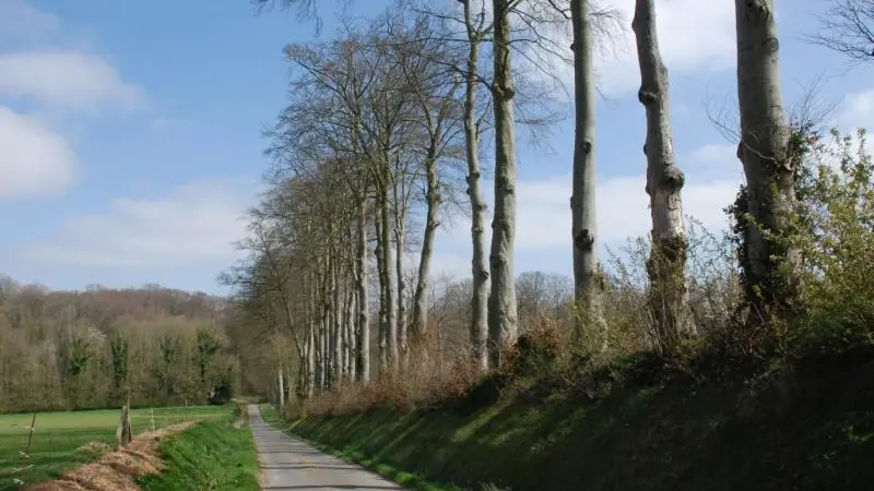 Gîtes de France® - Les Cerisiers d'Ablemont