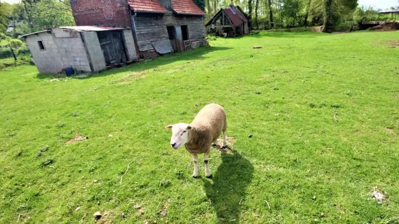 Gîtes de France® - Le Maraîcher
