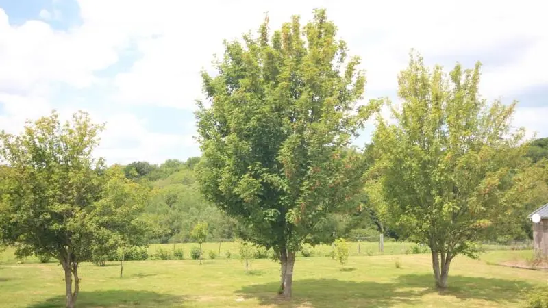 Gîtes de France® - La Chaumière d'Albâtre