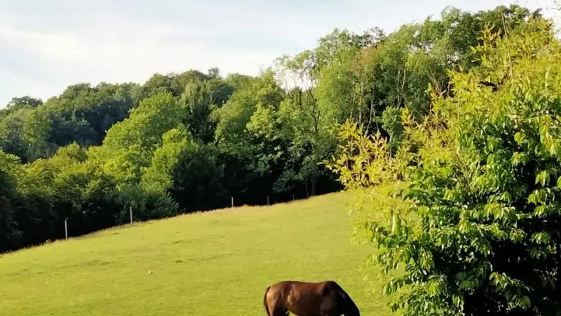 Le P'tit Gîte de l'Arbalète