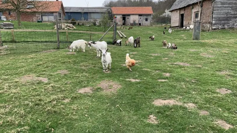 Gîtes de France® - Le P'tit Gîte de l'Arbalète