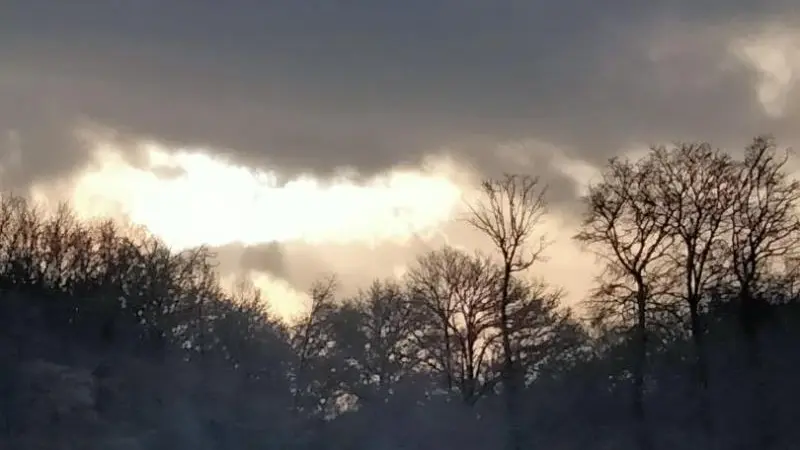 Gîtes de France® - Le P'tit Gîte de l'Arbalète