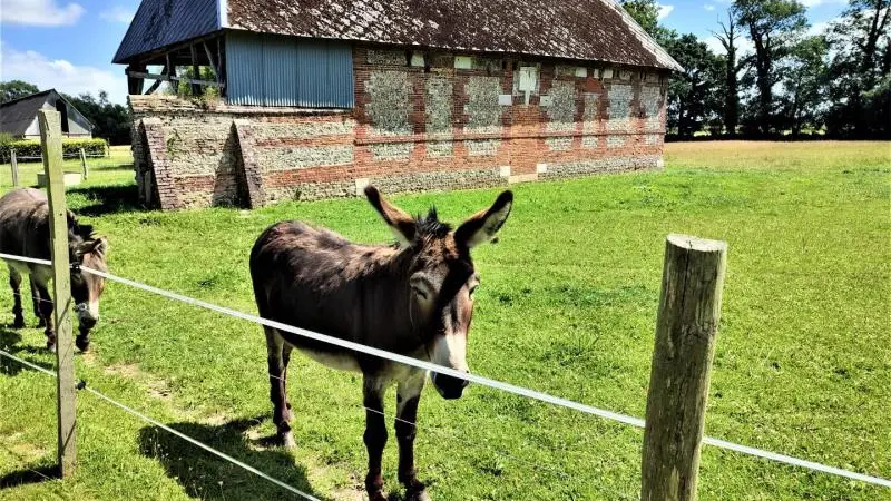Gîtes de France® - Paprika