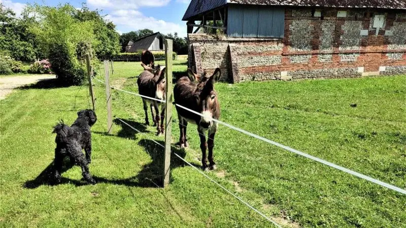 Gîtes de France® - Paprika