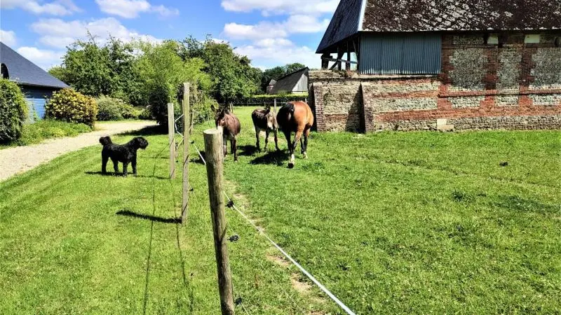 Gîtes de France® - Paprika