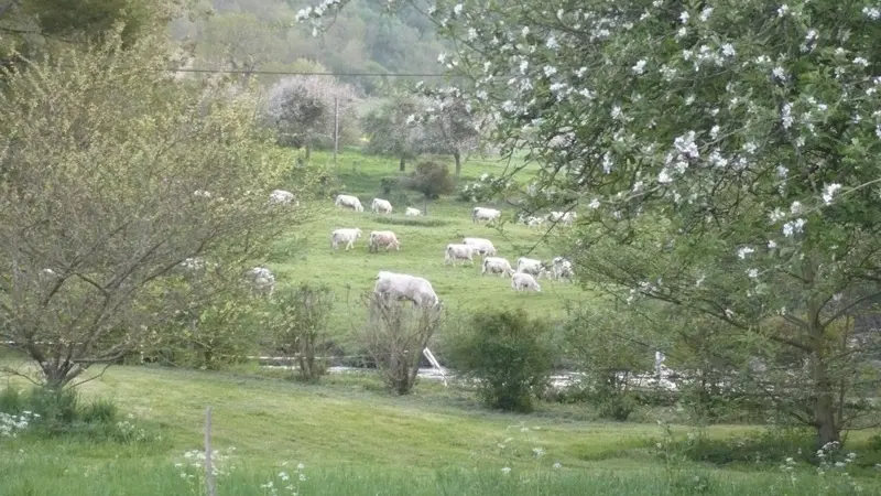 Gîtes de France® - Les 3 Noyers