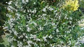 Gîtes de France® - Le clos Papy Moutons