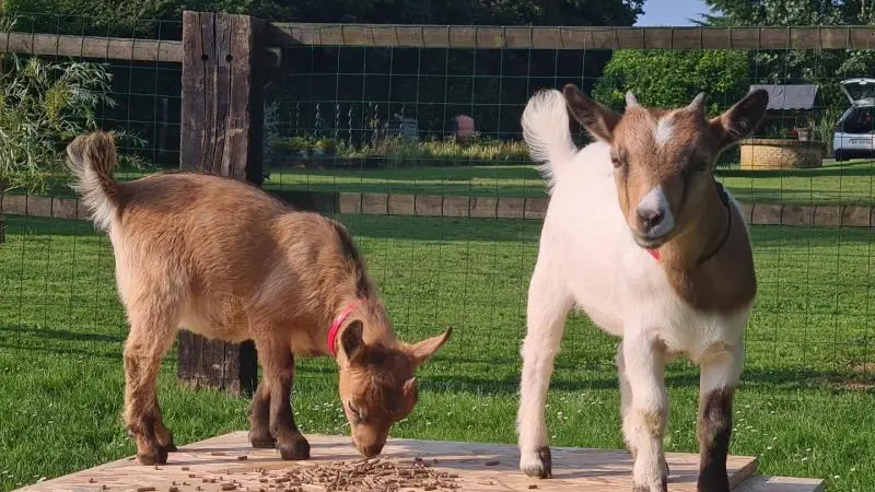 Gîtes de France® - Le Manège Normand