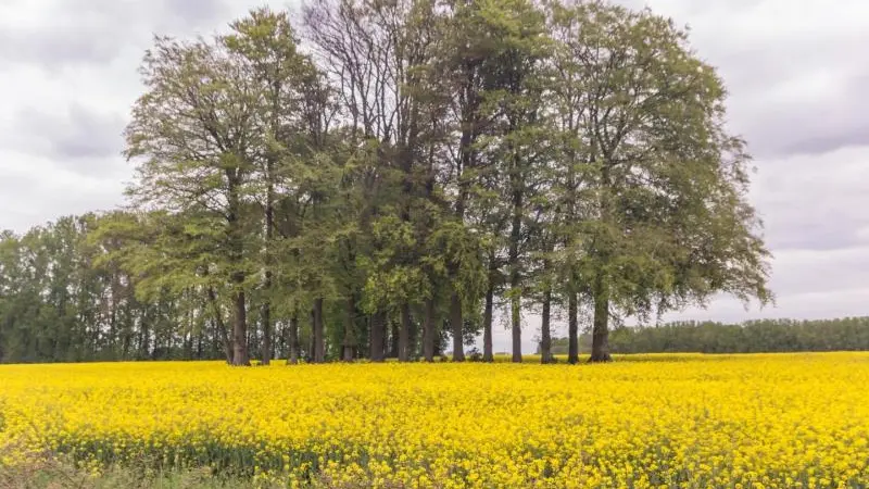 Gîtes de France® - Les Perce Neige