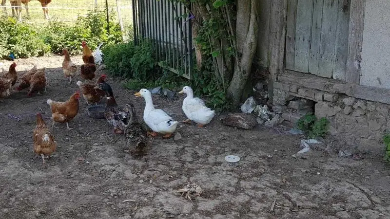 Gîtes de France® - Les Chambres d'Hôtes d'Anne