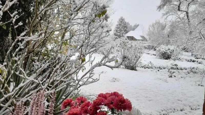 Les Chambres d'Hôtes d'Anne