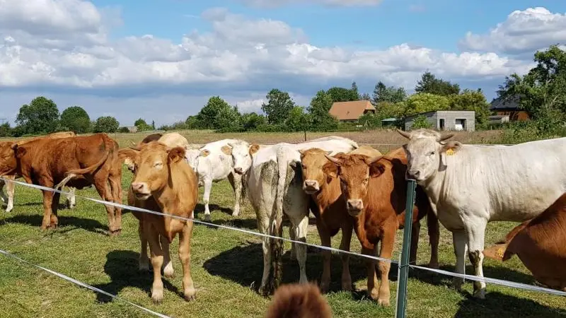 Gîtes de France® - Les Chambres d'Hôtes d'Anne