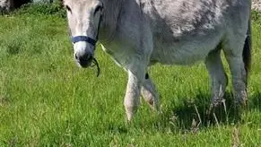 Gîtes de France® - Les Chambres d'Hôtes d'Anne
