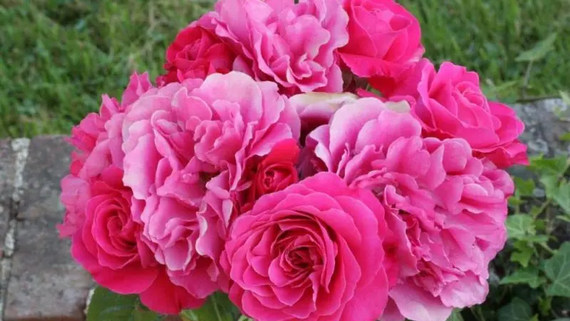 Les Chambres d'Hôtes d'Anne