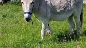 Gîtes de France® - Les Chambres d'Hôtes d'Anne