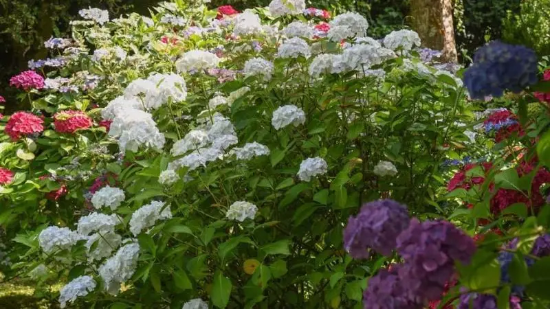 Gîtes de France® - Le Cottage