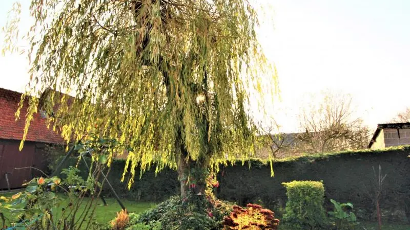 Gîtes de France® - Les Saules Pleureurs
