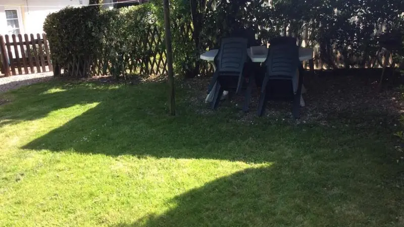 Les Saules Pleureurs