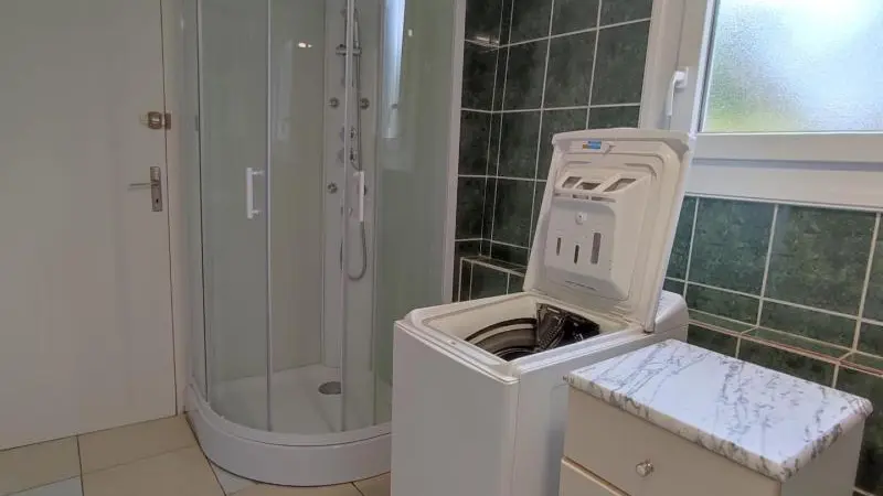 Les Saules Pleureurs