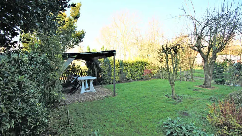 Les Saules Pleureurs