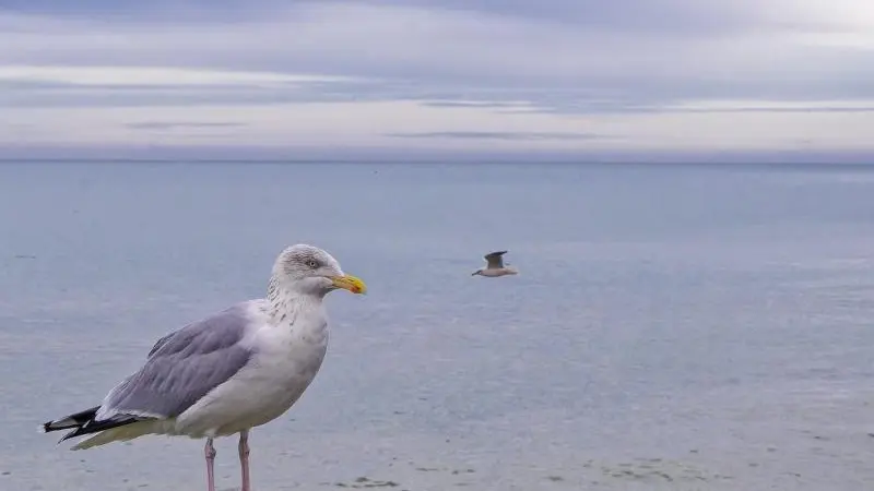 Gîtes de France® - Le Clos du Bailly