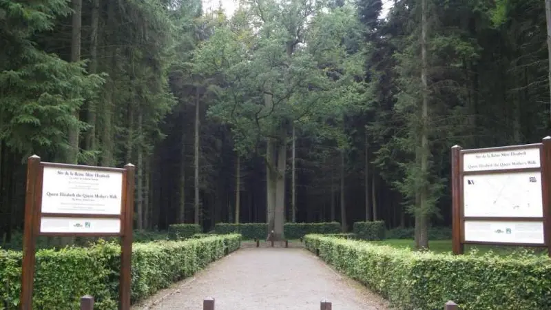 Le Clos du Bailly