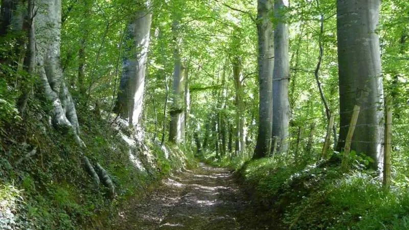 Gîtes de France® - La Clef des Champs