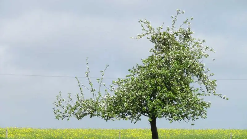 Gîtes de France® - Le Gîte du Burel