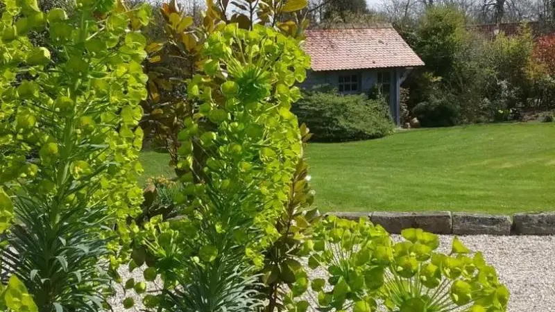 Le Nid d'Hirondelles