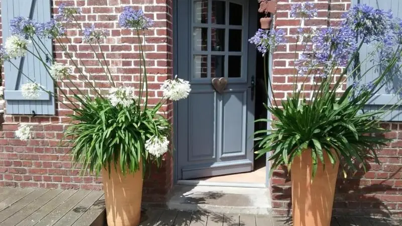 Le Nid d'Hirondelles