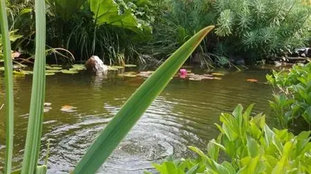 Le Nid d'Hirondelles