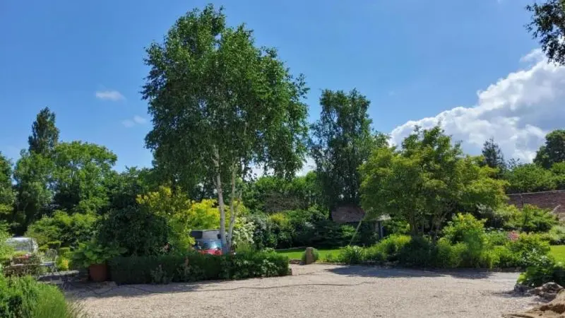 Le Petit Marin