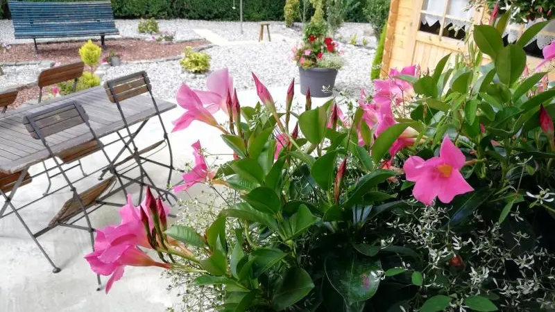 Le Gîte des 2 Falaises