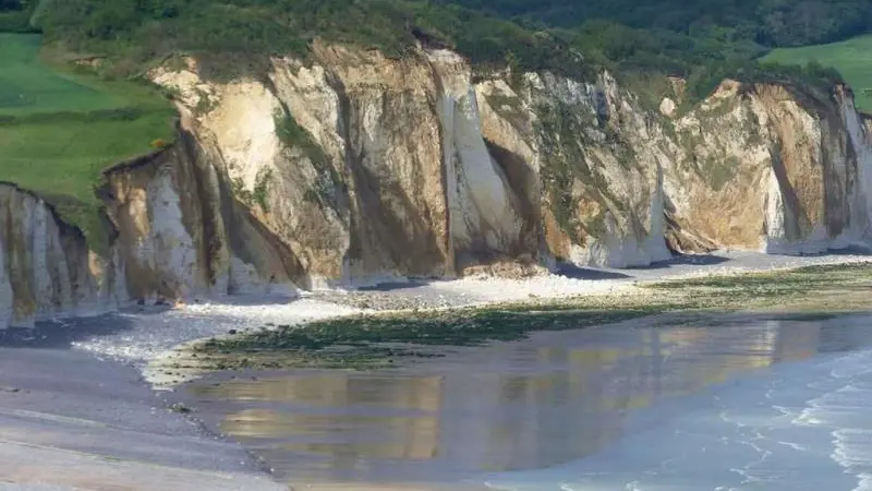 Les Colombes en Normandie