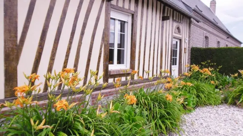 Les Colombes en Normandie
