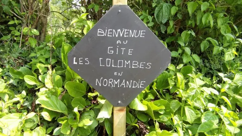 Les Colombes en Normandie