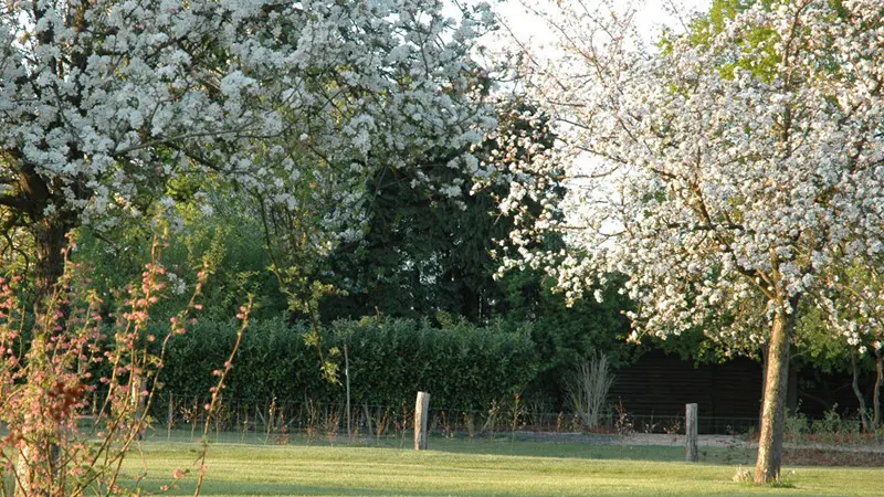 Gîtes de France® - La Maison d'à Côté