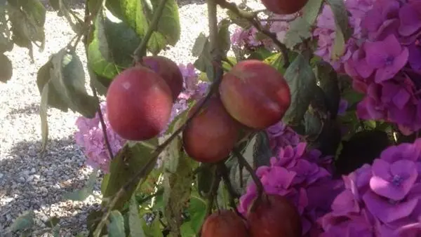 Gîtes de France® - Saint Nicolas du Vert Bois