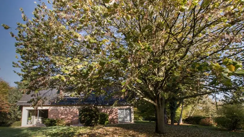 Les Prés des Charmilles