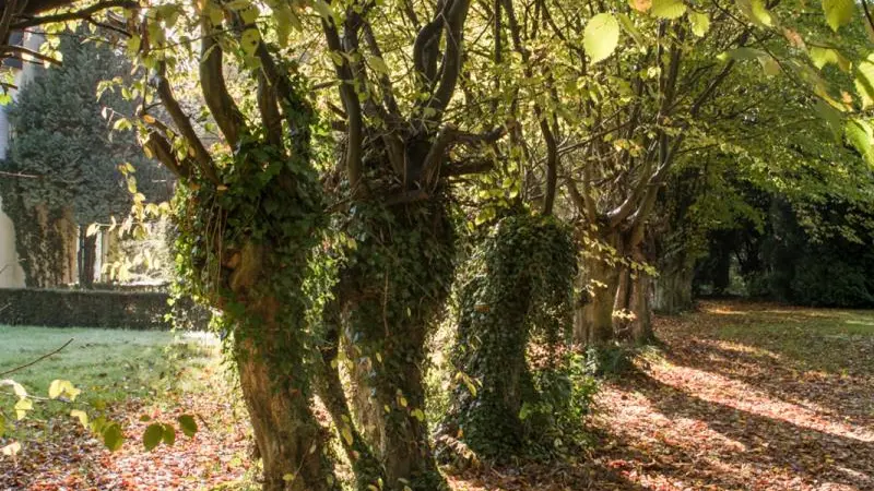 Gîtes de France® - Les Prés des Charmilles