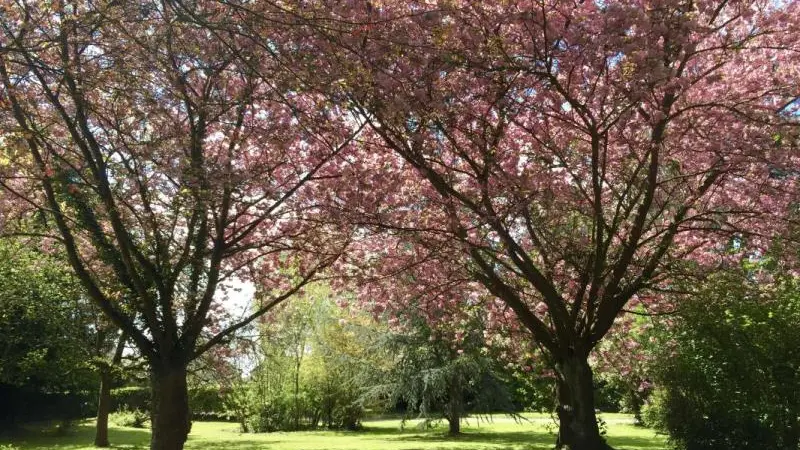 Gîtes de France® - Les Prés des Charmilles