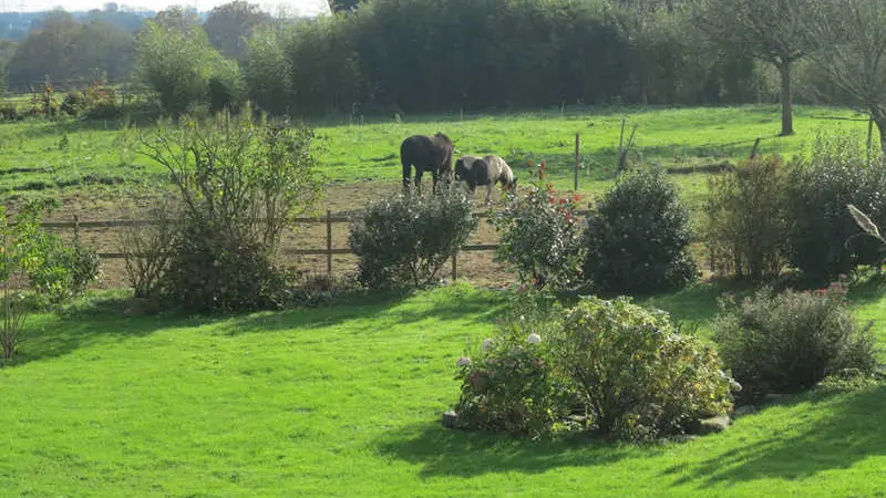 Gîtes de France® - Le Grand Catillon