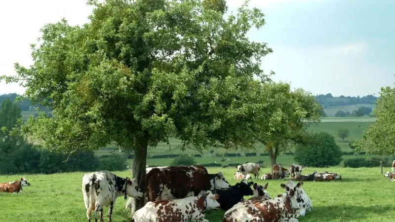 Gîtes de France® - Le Four à Pain