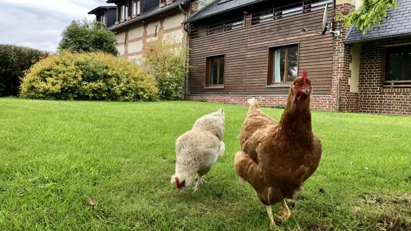 Gîtes de France® - La Ferme D'Antan