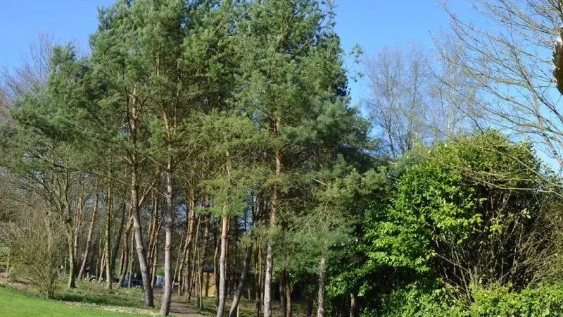 Le Colombier d'Yville