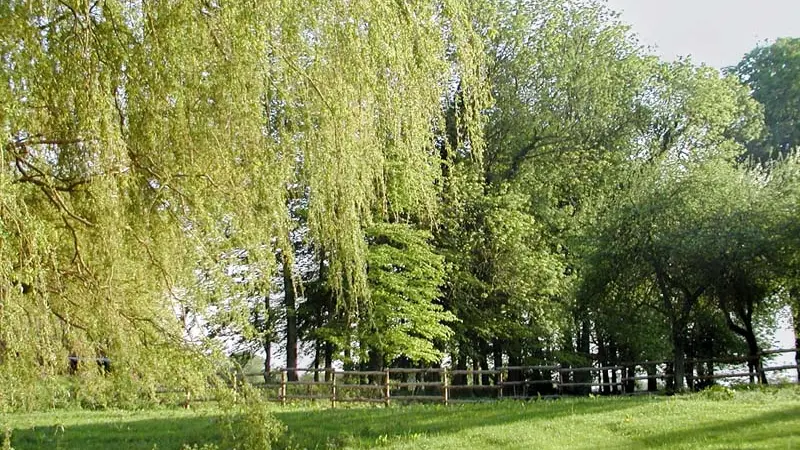 La Ferme Dufresne