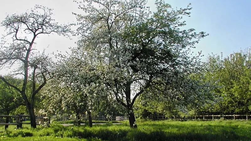 La Ferme Dufresne