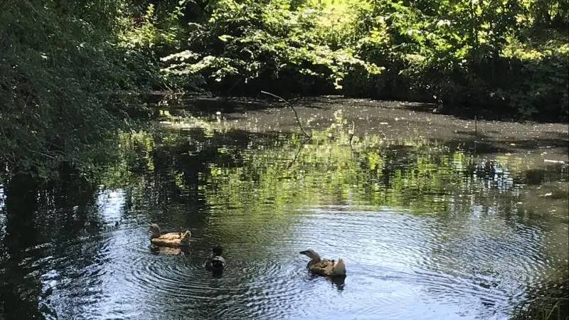 Gîtes de France® - Le Four à Pain